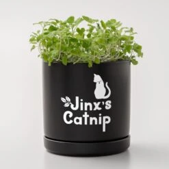 Cricut Joy Xtra - Smart Vinyl Amovible - Vinyle - Blanc Mat - 241 X 914 Mm -3D Prima Boutique CricutJoyXtra SmartVinylAmovible VinyleThermocollant BlancMat 24 1x91 4cm 3