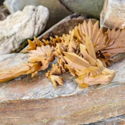 Panchroma PLA - Starlight Jupiter - 1,75 Mm - 1 Kg -3D Prima Boutique Panchroma PLA Starlight Jupiter 1 75 mm 1 kg 4