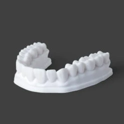 Phrozen - Dental Study Model - Blanc (White) - 1 Kg -3D Prima Boutique Phrozen DentalStudyModel Blanc White 1kg 1