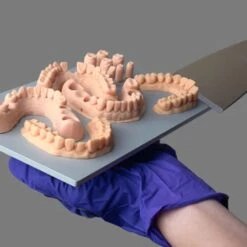 Phrozen - Water Washable Dental Model Resin - Naturel (Natural) - 1 Kg -3D Prima Boutique Phrozen WaterWashableDentalModelResin Naturel Natural 1kg 1 054af1f1 26e7 426e 92e6 13215990056a