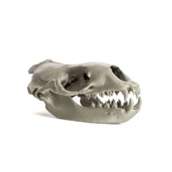 Prusa - Original Prusa MK4S ( Assembled ) - La Rapidité Au Service De La Qualité -3D Prima Boutique Prusa Original Prusa MK4S 6