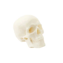 Smart Materials 3D - SmartFil ABS Medical - Naturel (Natural) - 1.75 Mm - 3.3 Kg -3D Prima Boutique SmartMaterials ABSMedical 3